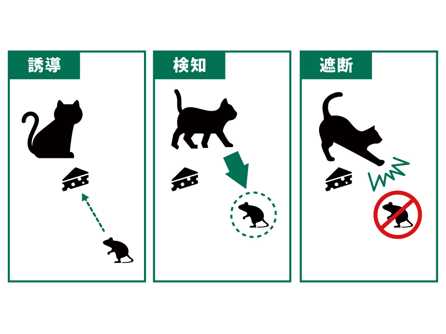 vCAT